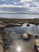 Bayside Holidays Filey LTD.
